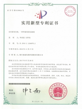 Utility model patents