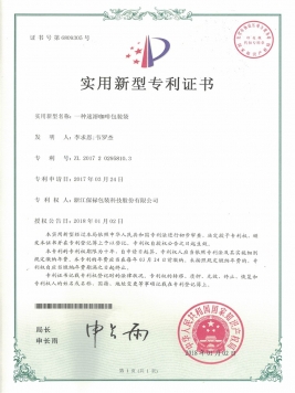 Utility model patents