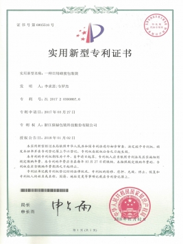 Utility model patents